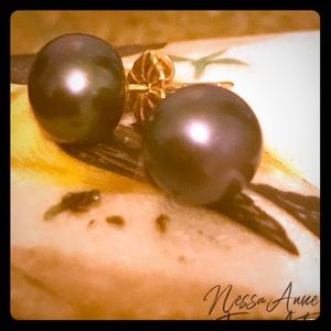 Cultured Tahitian Peacock Pearl Stud Gold Earrings